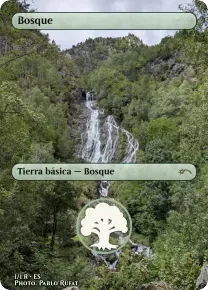Carta di esempio: Bosque